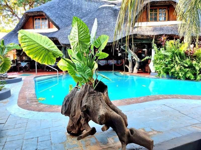 Dei Gratia Guest House Musina Kültér fotó